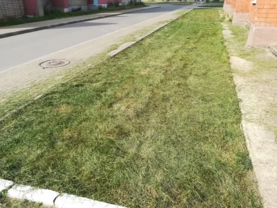 Подростки стригли газон ножницами в Тутаеве: возмущение в сети