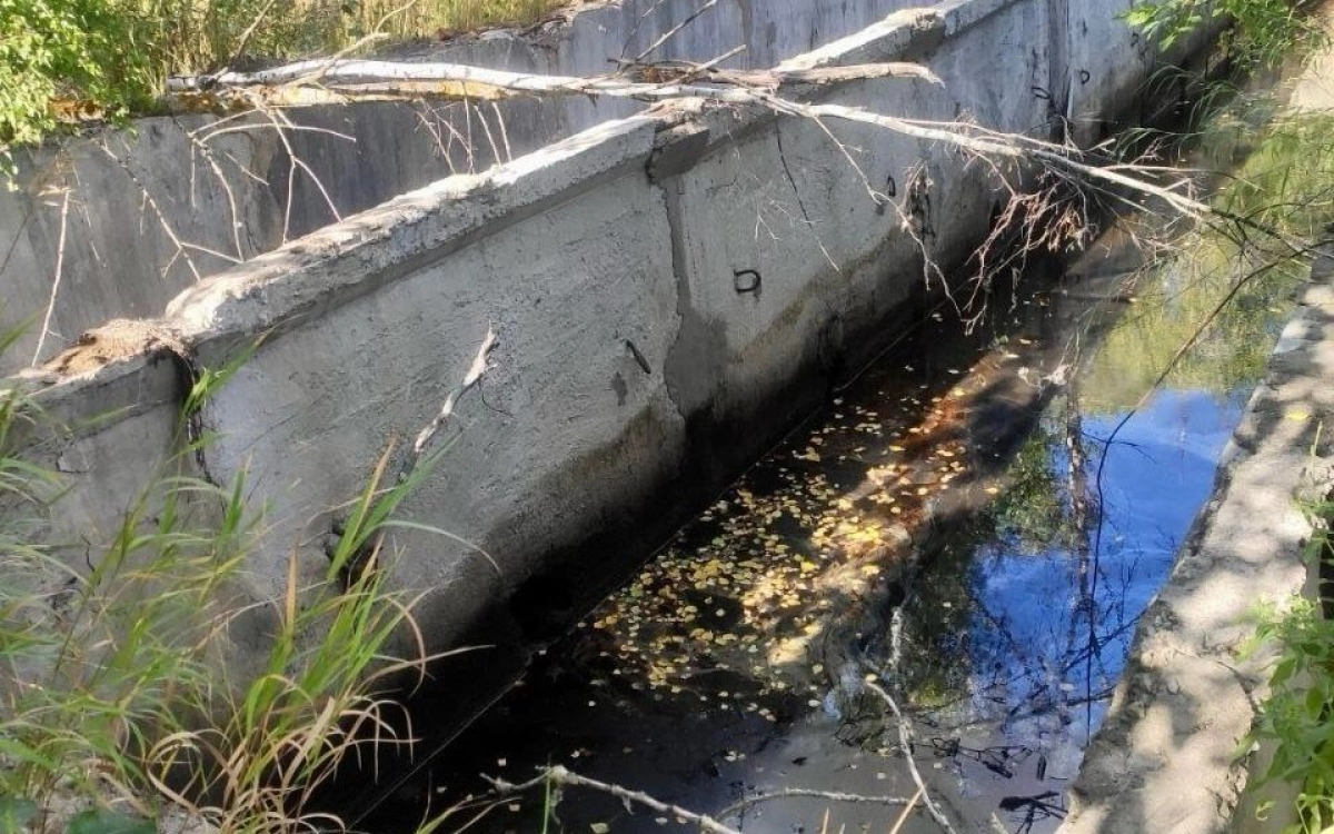 Ликвидация "зеленых масел" в Ярославской области: выделено финансирование Ликвидация "зеленых масел" в Ярославской области: выделено финансирование