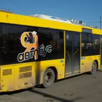 Пассажирка &laquo;Яавтобуса&raquo; получила травму при ударе о поручень