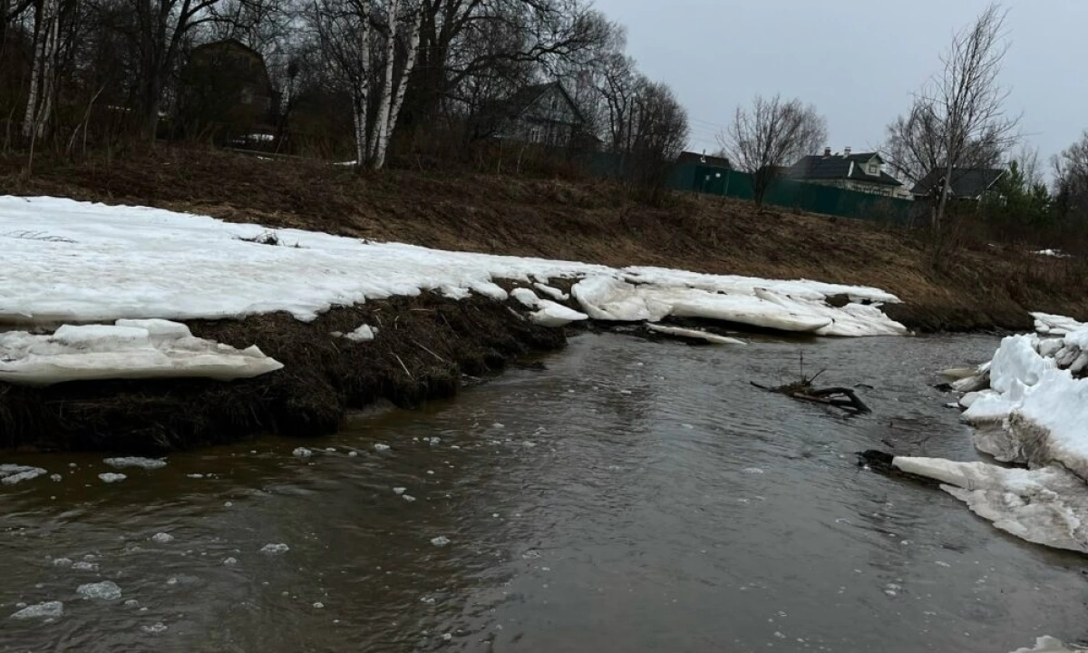 &laquo;Вилами колют рыбу&raquo;: ярославцы сообщают о случаях браконьерства во время нереста