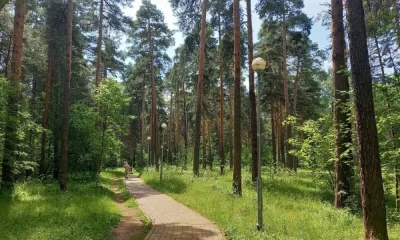 Напавший на женщину в Тверицком бору грабитель останется под стражей