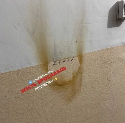 &laquo;Склонна к поджогам&raquo;: в Ярославле психически больная женщина терроризирует соседей