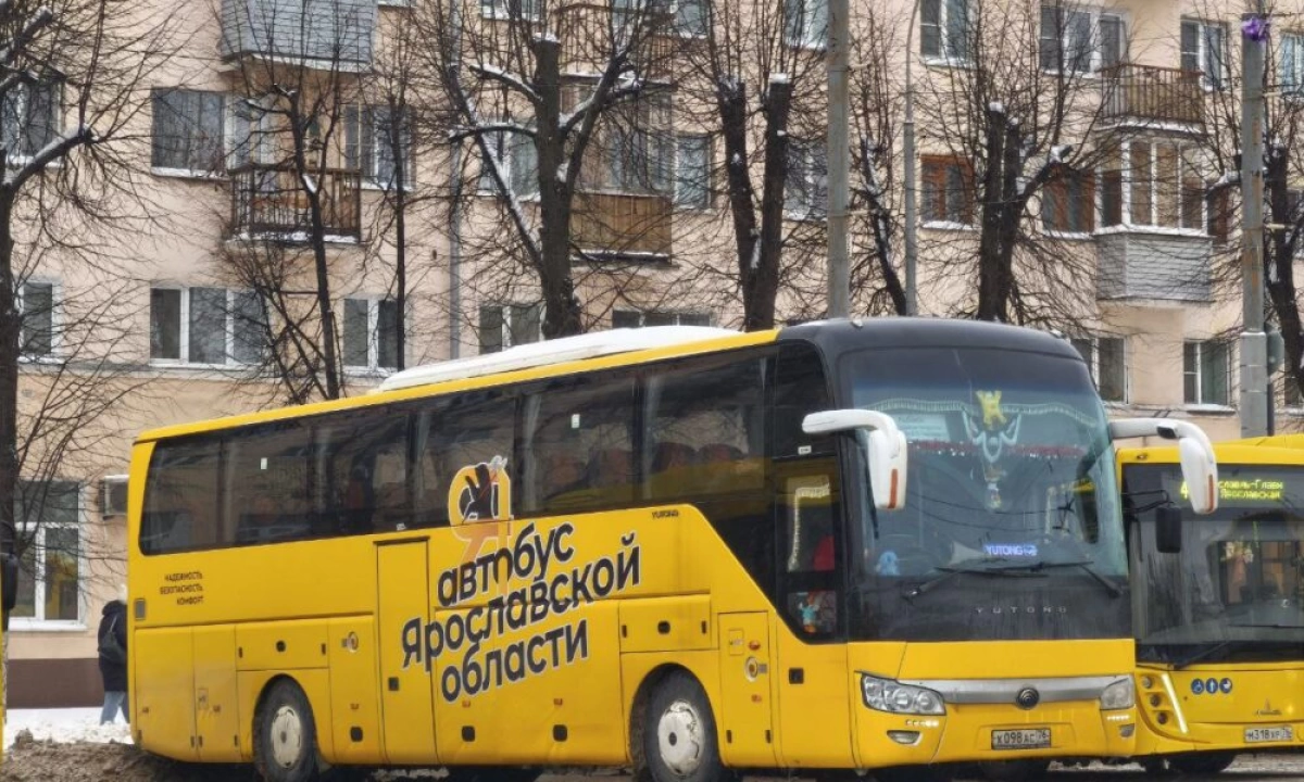 На Деминский лыжный марафон запустят специальные автобусы из Ярославля и Рыбинска