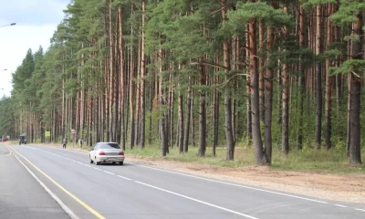 Сохранили сосны и отремонтировали дорогу в Ярославской области