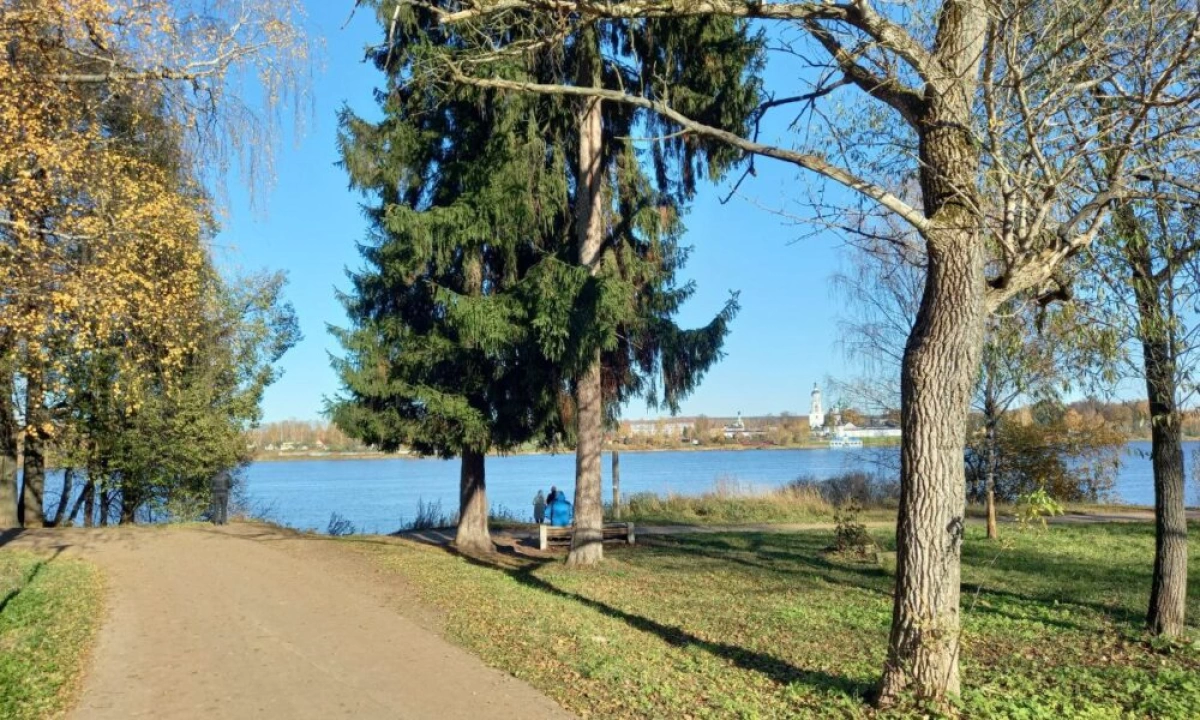 В Ярославле в Павловской роще планируют установить туалеты