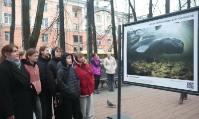 Фотовыставка о Соловецком архипелаге открылась на Первомайском бульваре в Ярославле