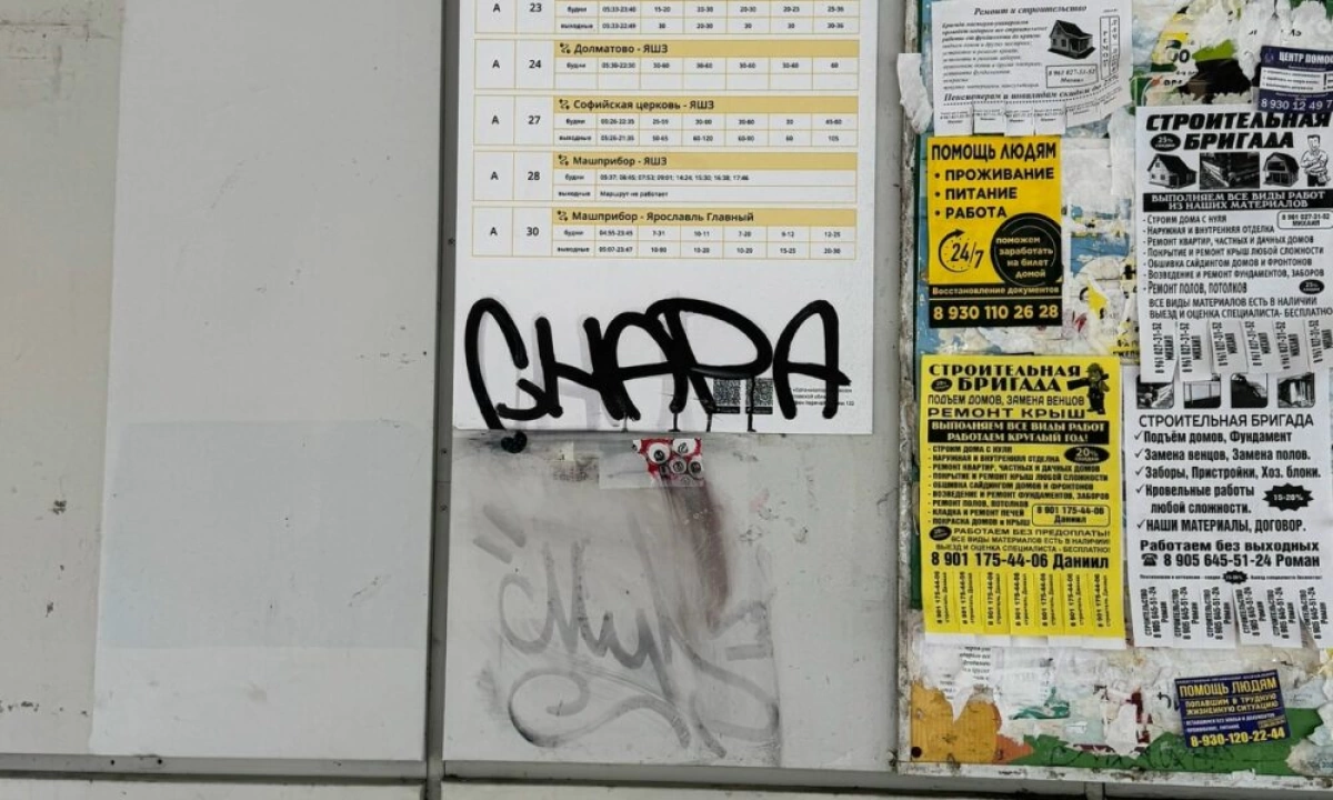 В Ярославле жители Пятерки требуют найти и наказать наглую «Чапу» В Ярославле жители Пятерки требуют найти и наказать наглую «Чапу»