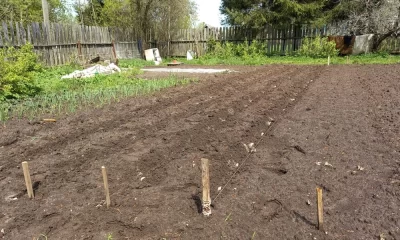 У угличского пенсионера мошенники похитили квартиру и земельный участок