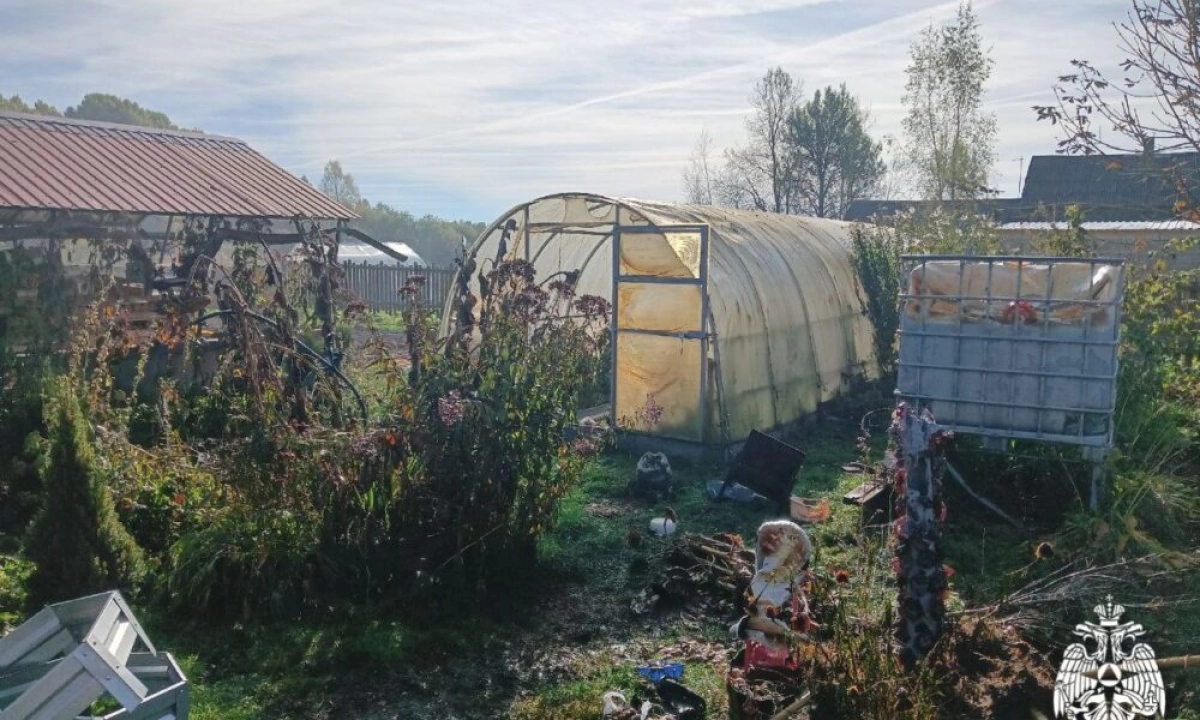 В Ярославской области сгорело частное подворье В Ярославской области сгорело частное подворье