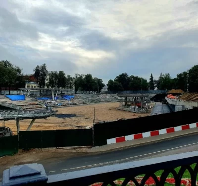 В Ярославле на стадионе &laquo;Спартаковец&raquo; высадят горные сосны