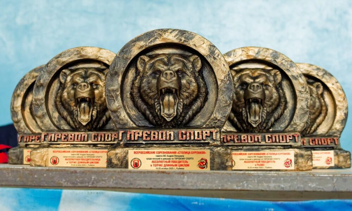 Спортсмены из Ярославской области завоевали 15 медалей на всероссийском турнире по гиревому спорту