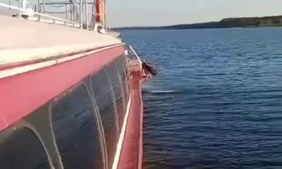 Теплоход с пассажирами сел на мель в Ярославской области