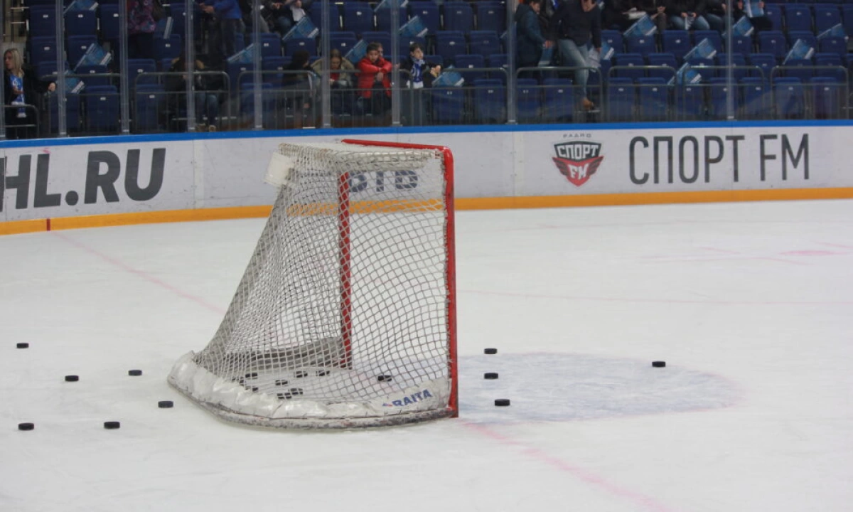 Болельщики «Салавата Юлаева» встречали вернувшегося Ремпала в аэропорту Болельщики «Салавата Юлаева» встречали вернувшегося Ремпала в аэропорту