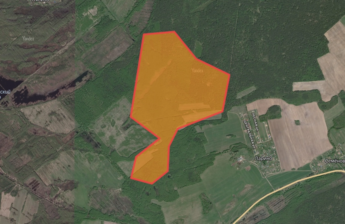Медведи выходят к жителям: опасность в районе Ларино