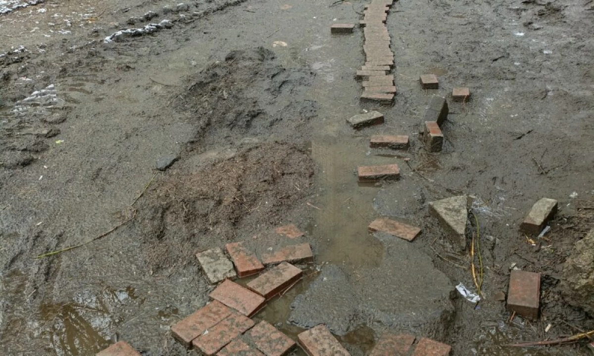 &laquo;Иностранные студенты фотографируют&raquo;: ярославцы пристыдили власти за тротуар из грязи