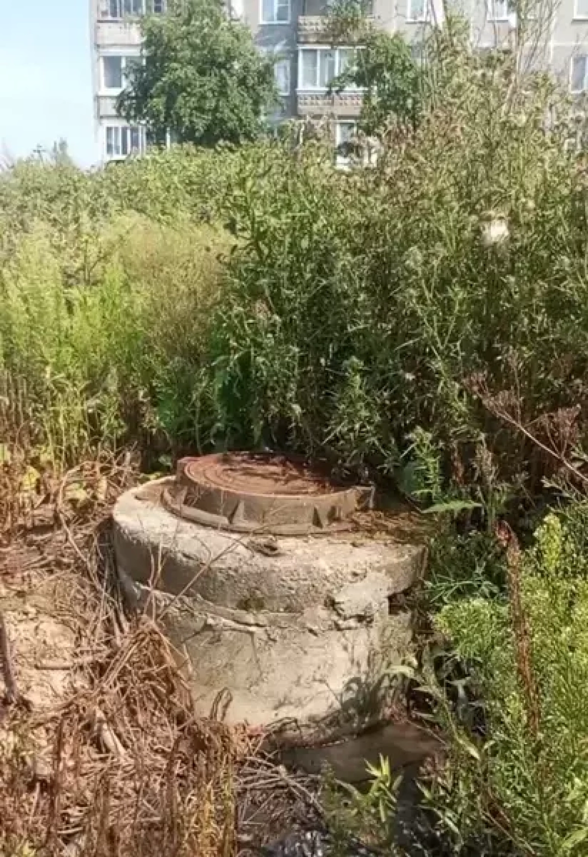 Канализационные стоки вновь затопили огород в Шашково Канализационные стоки вновь затопили огород в Шашково