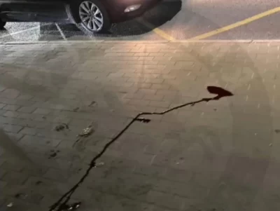 Избиение пассажира &laquo;Яавтобуса&raquo; &nbsp;за попытку отсканировать QR-код закончится судом