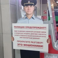 «Подработка в социальной сети» обошлась ярославне в 15 миллионов рублей