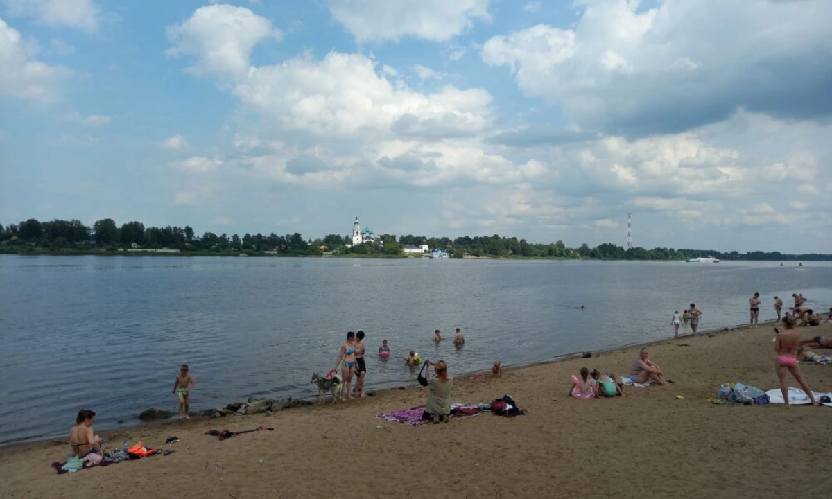 Оштрафованные за купание у Павловской рощи ярославцы написали коллективное обращение