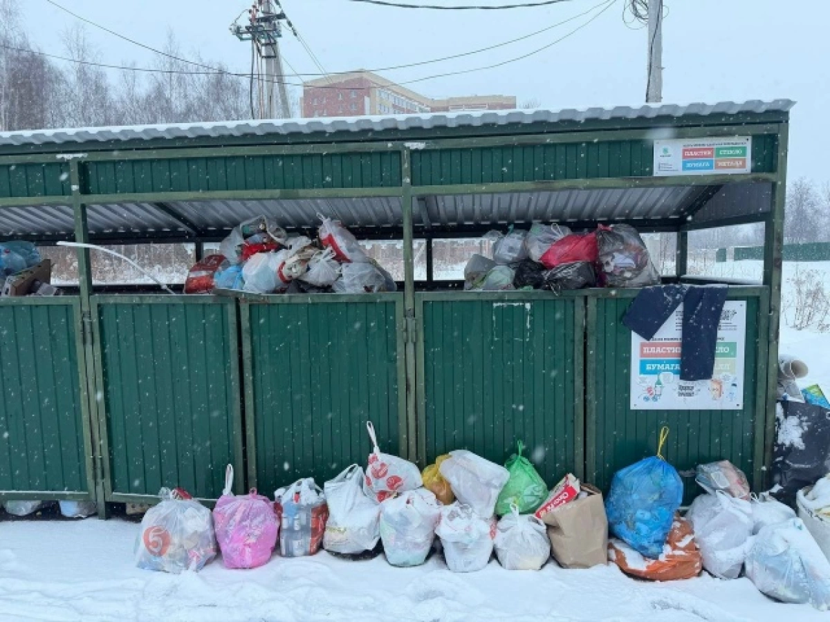 В Ярославле &laquo;Хартия&raquo; прокомментировала переполненные мусорные контейнеры