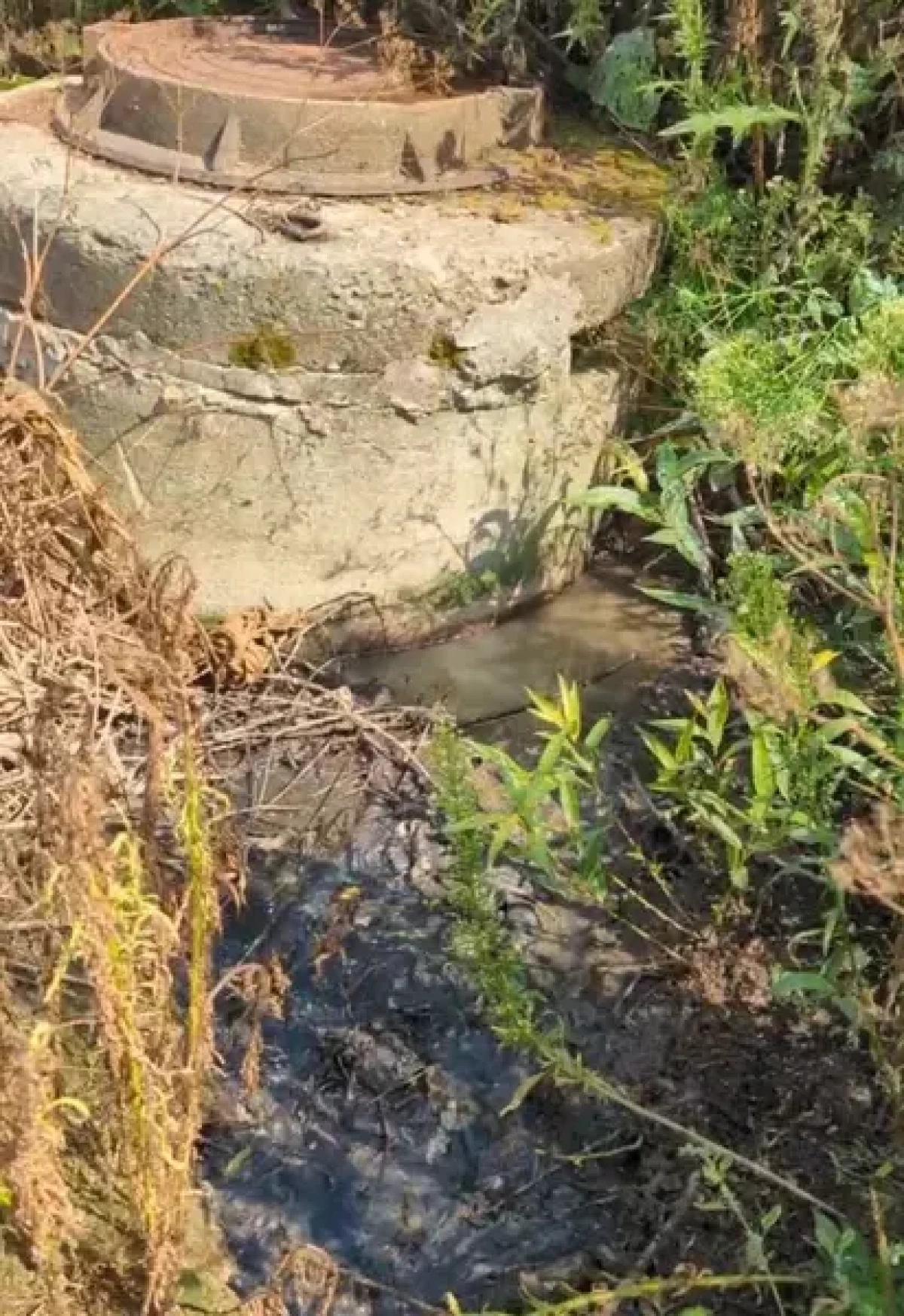 Канализационный скандал в Шашково: проблема возвращается Канализационный скандал в Шашково: проблема возвращается