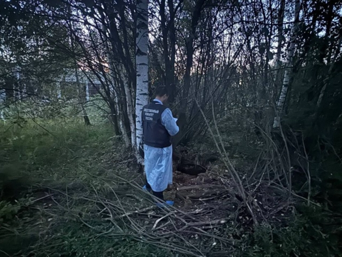 Ярославский суд оставил в силе приговор чиновнице по делу о гибели ребенка в колодце