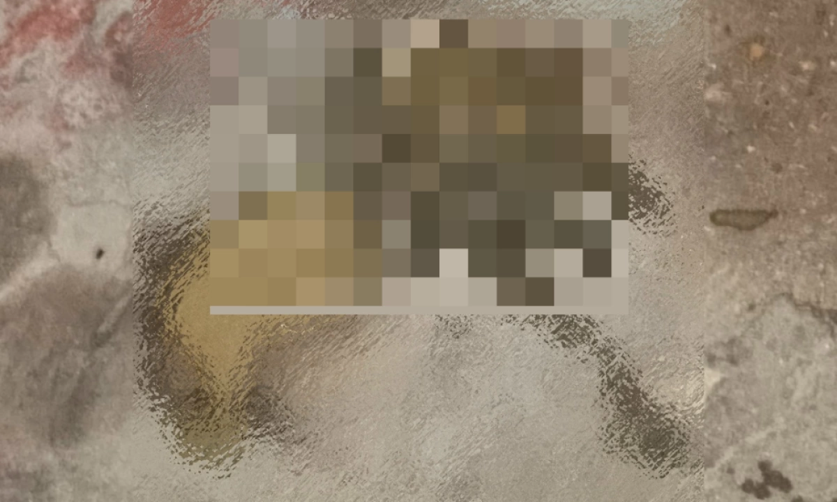 В Ярославле жильцы девятиэтажки жалуются на соседку с недержанием В Ярославле жильцы девятиэтажки жалуются на соседку с недержанием