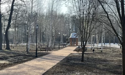 В Ярославле в Петропавловском парке высадят деревья по исторической справке