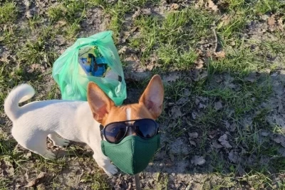 В Ярославле на стражу чистоты встал гриндог