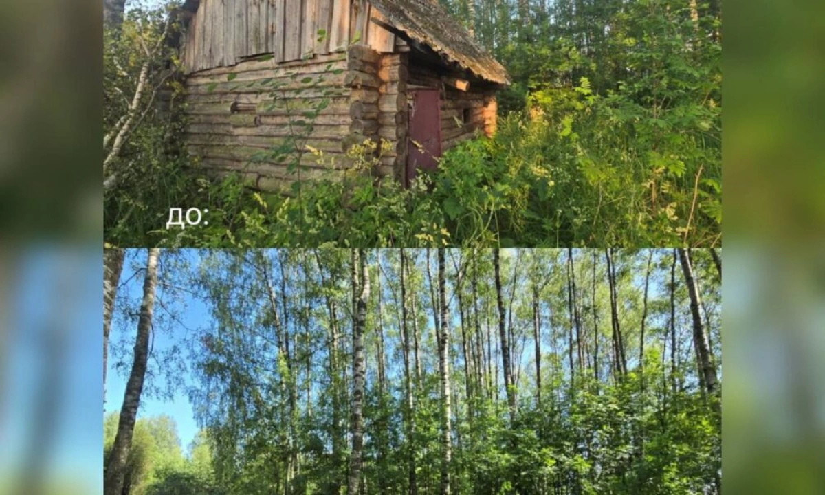 В Ярославской области активно демонтируют аварийные здания В Ярославской области активно демонтируют аварийные здания