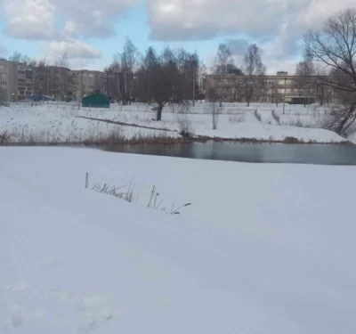 В Ярославле жители просят проверить подозрительные сбросы в пруд