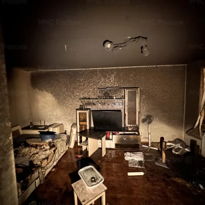 В Ярославле пожарных благодарят за спасение кота