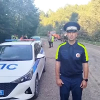 В Ярославской области насмерть сбили пешехода
