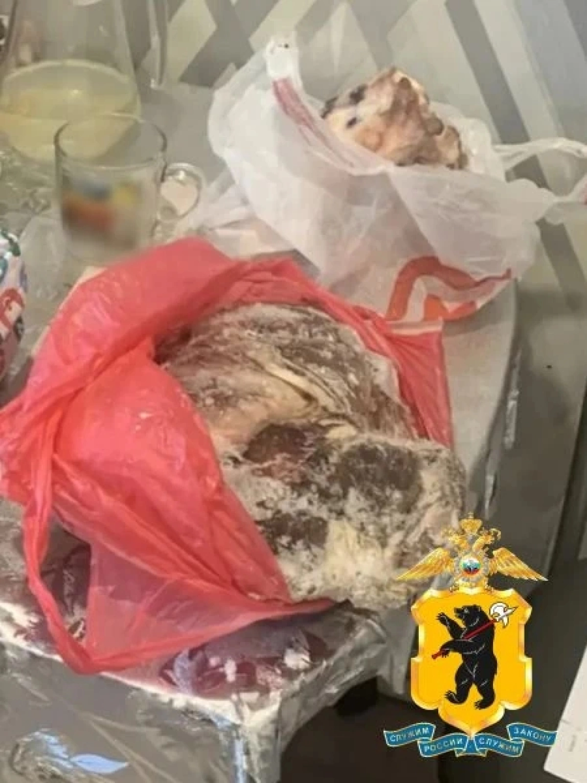 Изъяты камеры с мясом: в Ярославской области задержали двух браконьеров