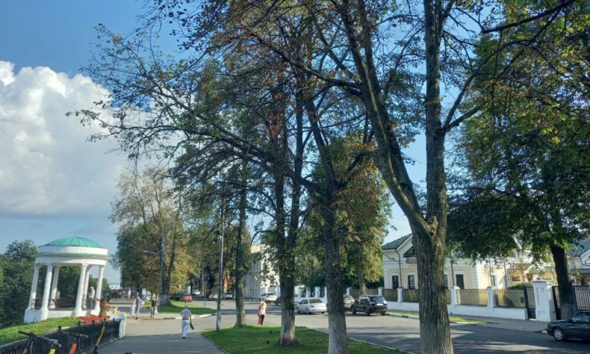 Кража в торговом киоске на Стрелке: задержана подозреваемая Кража в торговом киоске на Стрелке: задержана подозреваемая