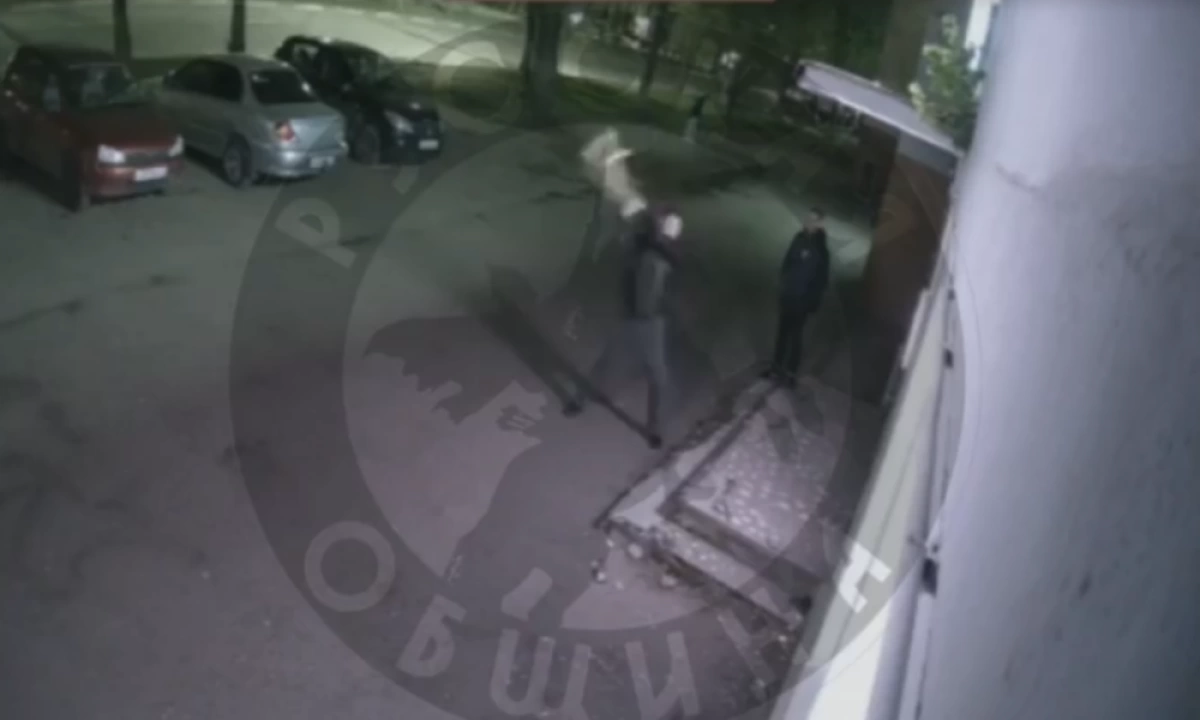 В Ярославле задержали мужчину после жестокого убийства кошки В Ярославле задержали мужчину после жестокого убийства кошки
