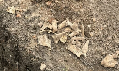 В центре Ярославля при земляных работах обнаружены кости