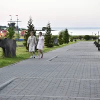 Зону отдыха на берегу реки Латыгоры в Брейтове благоустроят по нацпроекту&nbsp;