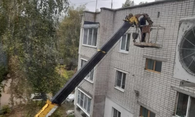 В Ярославской области жители просят освободить замурованных на крыше голубей