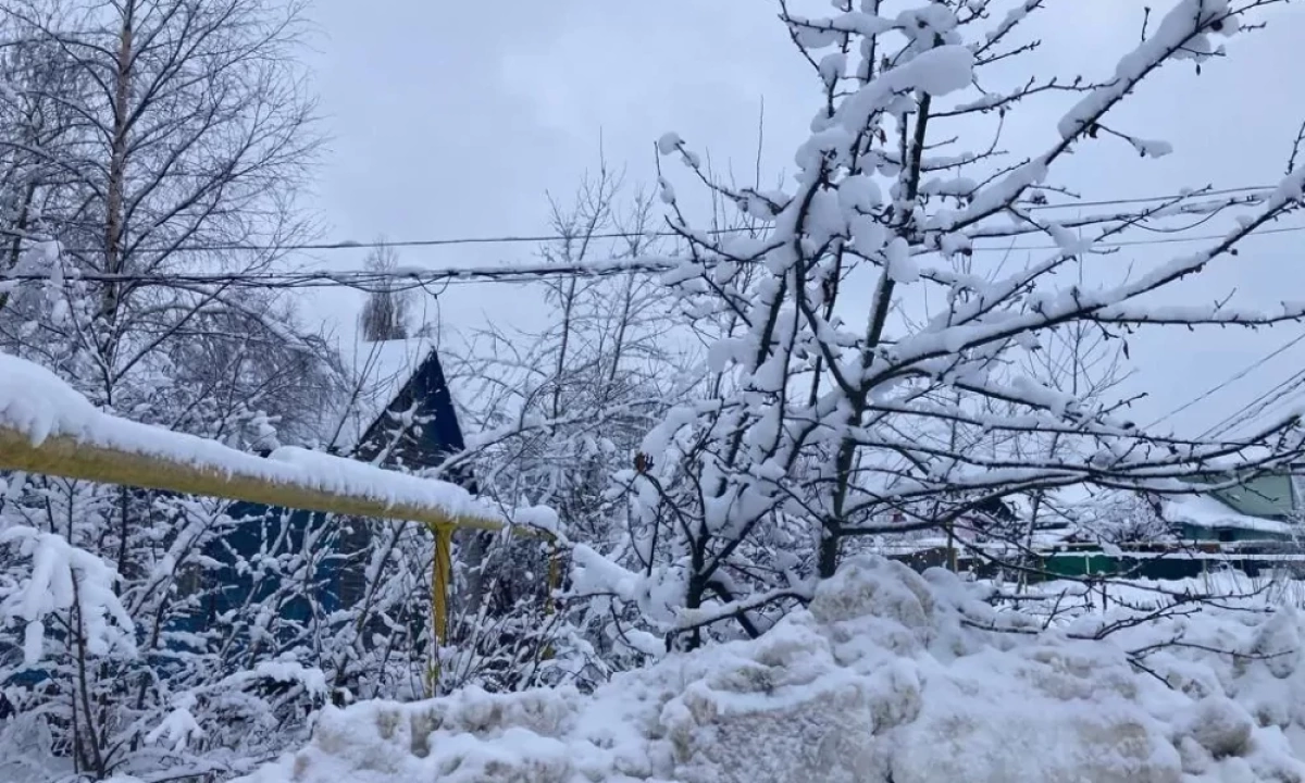 В Ярославской области сирота живет в купленном соседями строительном вагончике