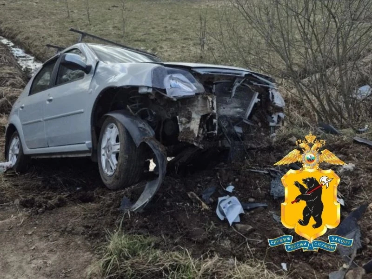 В Ярославской области погибла 88-летняя пассажирка съехавшей в кювет иномарки